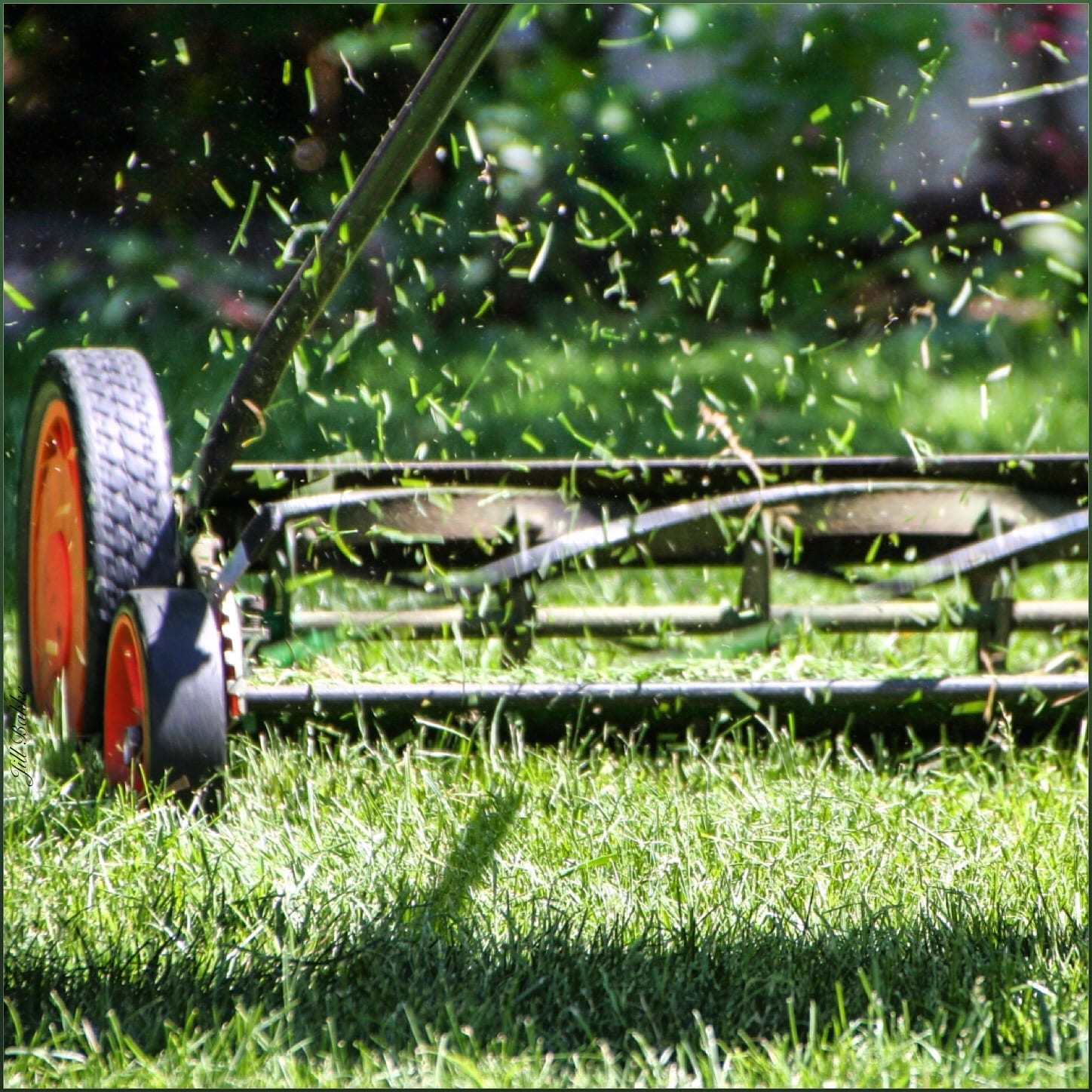 lawn-mower-accidents-more-likely-to-occur-in-summer-months