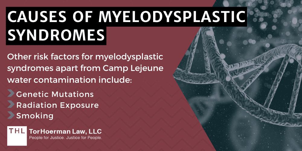 Causes Of Myelodysplastic Syndromes