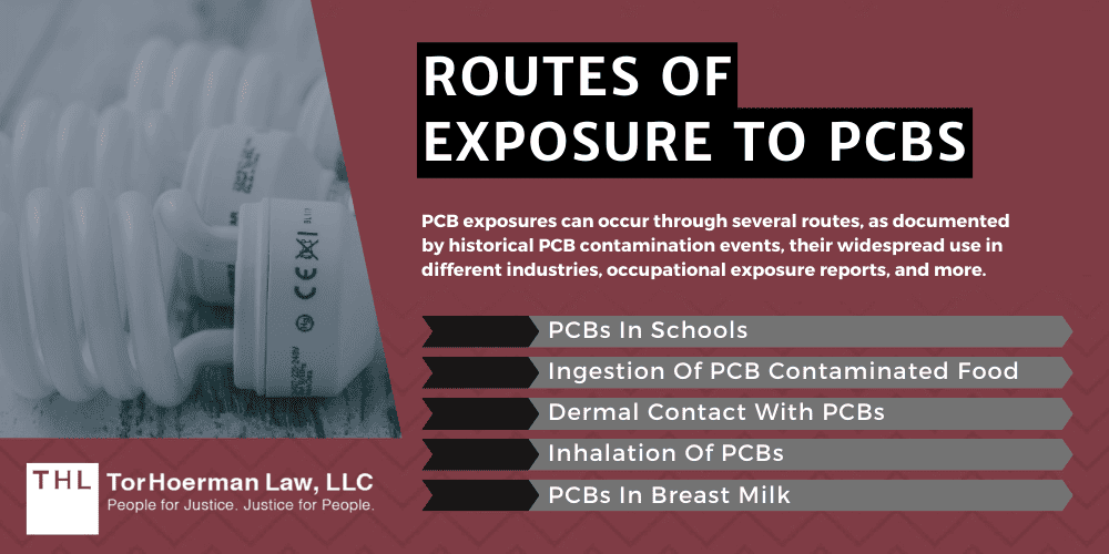 Routes Of Exposure To PCBs