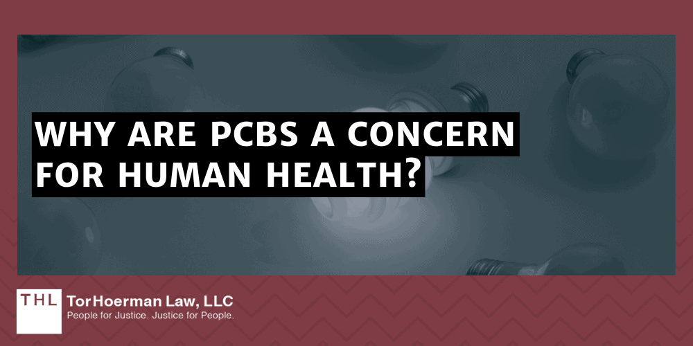 Why Are PCBs A Concern For Human Health