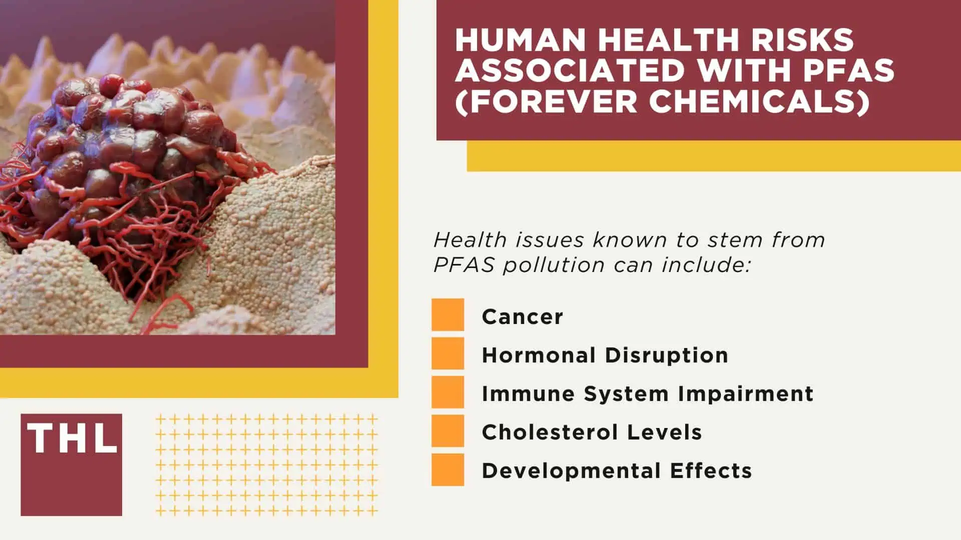 PFAS Water Contamination Lawyer; Understanding PFAS Contamination; The Properties of PFAS Chemicals; Human Health Risks Associated With PFAS (Forever Chemicals)